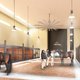 Image for article titled Yes, There Is an Airport Being Designed Just For Animals